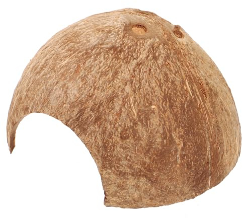 NUOBESTY Abri Tortue en Coque de Noix Naturelle, Cachette Humide et Refuge pour Pet Turtle et Escargot Terrarium Décoratif et Fonctionnel
