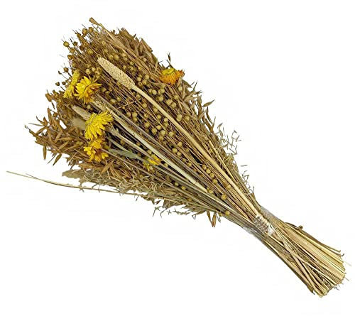Trockenblumenstrauß Gelb Dekoblumen Natur Blumenstrauß 42-45 cm