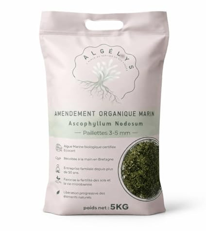 Algelys – Ascophyllum nodosum bio – Algue marine broyée (Kelp) – Amendement naturel potager, jardin, cultures intensives – Fertilisant organique – Sac 5 kg