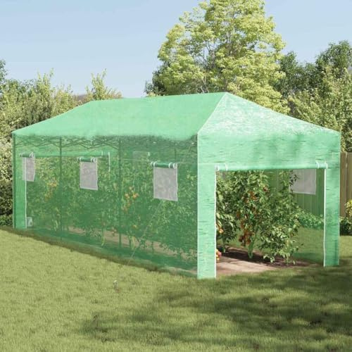 LoogCape Invernadero con marco desplegable verde, 290 x 870 x 315 cm, hierro resistente a la intemperie, transitable para balcón, terraza, exterior, bancal alto, casa de tomates