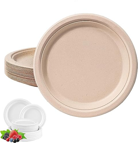 YAAVAAW Pappteller Einweg 50 Stück 25cm Pappschalen,Naturbraun Runde Einweggeschirr,Zuckerrohr Geschirr Biologisch Einwegteller Pappteller für Party,Kindgeburtstage,Grillabende,Hochzeiten,Picknicks
