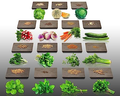 Lot de 3940 graines à semer - Le grenier d'Abondance - Potager semis de Juillet - 15 sachets individuels