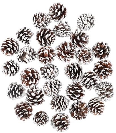 ENLACE Lot de 30 pommes de pin, environ 2 à 3 cm, petites pommes de pin de Noël avec peinture blanche, décoration de Noël pour décoration de Noël, bricolage, artisanat, sapin de Noël, décoration