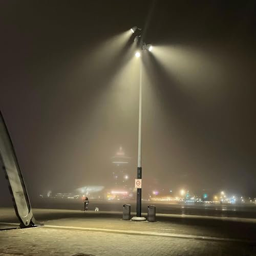 The Trap EP [Explicit]