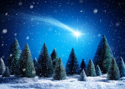 CORFOTO 2.7x1.8m Weihnachtsstern-Hintergrund,Winter,verschneite Nacht,Schnee,Kiefer,Weihnachtsbäume,Hintergrund,Weihnachtsdorf,Fotografie,Hintergrund,Weihnachtsparty,Dekoration,Hintergrund