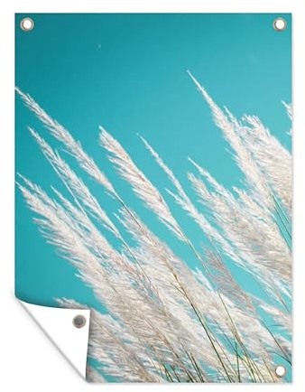 MuchoWow Poster exterieur Herbe de la pampa - Plante Decoration murale 60x80 cm Résistant aux intempéries/soleil