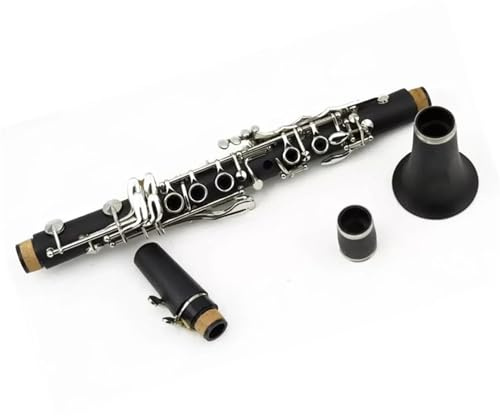 Klarinetteninstrument Es Professionelles Blasinstrument Professionelle Klarinette Für Erwachsene