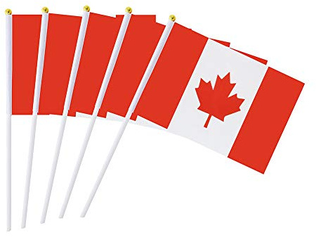 Drapeau Du Canada Stick 5,5 X 8,3 Pouces Petite Main Drapeau Mini Drapeau Canadien 50 Pc