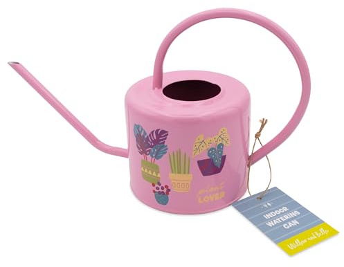 Arrosoir - Plante Rose