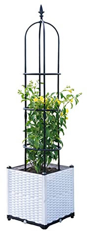 ZECHKA Rankhilfe Obelisk, Rosenbogen Rankgitter, freistehend Metall Rosenturm, Beschichtetes Metall, für alle Kletterpflanzen unabhängig (Size : 20x120cm)