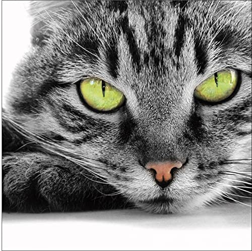 Jm-Déco Sticker boites aux Lettres Chat 30x30cm