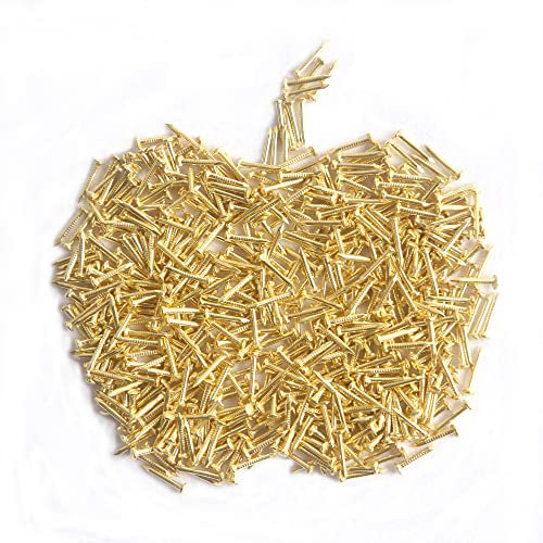 huruirui 1 * 10mm Piccoli Chiodi Chiodo di Ferro per Foto Chiodi per Foto Appese Lavorazione Del Legno Mobili Fai Da Te Chiodi Decorativi Piccolo Oro 500 pz