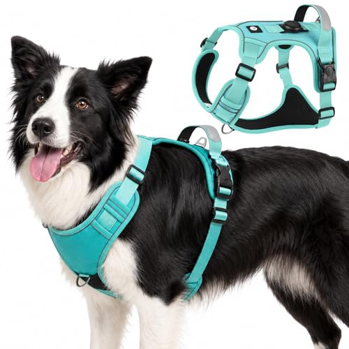 Olcyren Hundegeschirr mit AirTag-Halter für Kleine Mittelgroße Grosse Hunde, Anti Zug Geschirr Hund mit Griff, Anti Zieh Reflektierend Verstellbar Brustgeschirr, No Pull Dog Harness (Türkis, L)