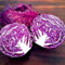 Semi di Radicchio Verde 50 pezzi