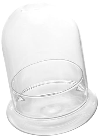 HOODANCOS Bouteille en Verre Transparent pour Terrarium DIY, Résistant la Corrosion la Sécheresse, Décor de Bureau pour Plantes et Fleurs
