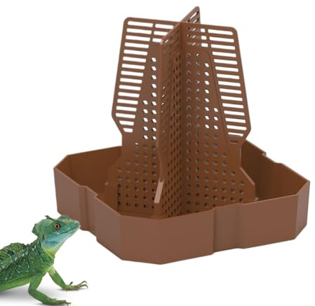 Cuenco De Alimentación para Reptiles - ABS 5.83x5.83x6.1in | Cuenco De Comida para Estación Ďe Alimentación Gecko | Plato Estable Đe 209 G: Ṕara Lagartos, Camaleón, Gecko con, Dragones Barbudos