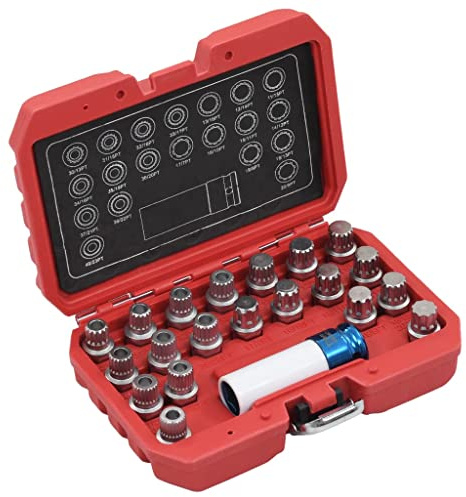 vidaXL Jeu de Douilles de Verrouillage de Jante 21 pcs Outil Véhicule Garage