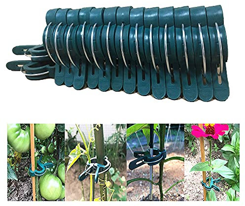 BESSIKON® 40 Pflanzenclips,Pflanzenklammern für Tomaten,Gurken und andere Rankpflanzen,Kletterpflanzen Befestigung,Rankhilfe für Pflanzen,Stabile Klammern für Gartenarbeit,Pflanzenklettern Werkzeug