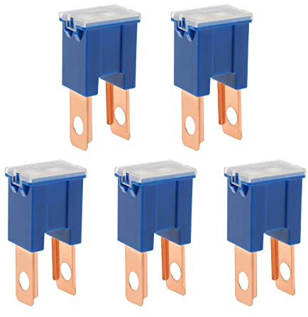 ECSiNG 5PCS Blade-Mounting Car Fuse 32V 100A Tridge Fuse Male Terminal Blade J Case Box for Car Truck SUV Boat Electrical Devices Vehicles