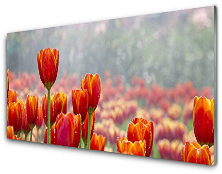Tulup Glass Print Wall Art 100x50cm Image printed on Glass Decorative Wall Picture Tempered Safety Glass Kitchen & Living Room - Tulips Floral