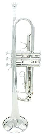 VSOLS Trompete BB B Flat Messing Exquisit mit Mundstückhandschuhen Musikinstrumente (Color : Yellow 1)
