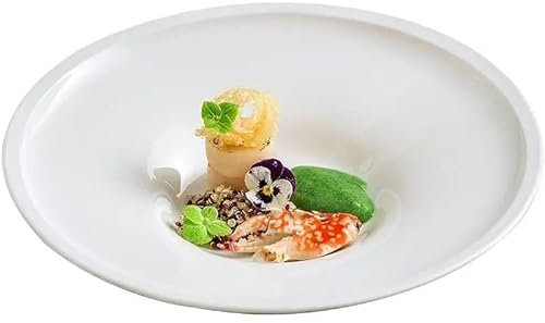 YCCHAH Placas Aperitivas Plato de cerámica for cena, plato de postre for restaurante, plato de pasta, plato de sopa grueso, plato hondo, plato de aperitivos for el hogar Platos Baratos