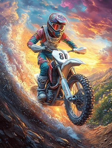 Piloto de motocross en un cañón ardiente Puzzles 300 Piezas Maquetas Educativas 3D Plantas y animales de cuento de hadas Rompecabezas Para Familia Construir DIY Aliviar Estrés Decoración Hogar 300 PCS