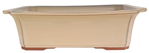 Genérico BIOMATA Maceta Bonsai Ceramica Rectangular 31x23x9 cm | Macetero Bonsai Fabricado en Japón | Tiesto con Agujero de Drenaje | Árbol no Incluido Color Crema