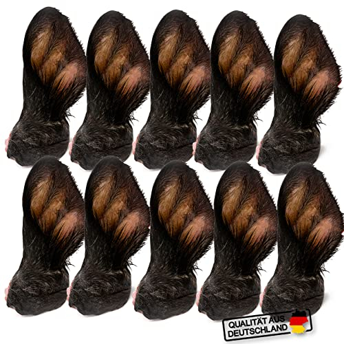 MERVELA Rinderohren mit Fell für Hunde | 10 Stück | Qualität aus Deutschland | 100% natürliche Kauartikel | getrockneter Kausnack ohne Zusatzstoffe