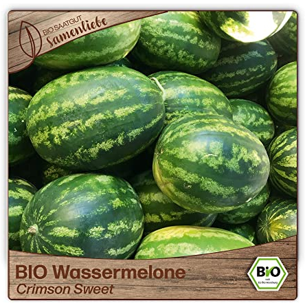 Samenliebe BIO Wassermelonen Samen alte Sorte Crimson Sweet süße Melone rund rot 10 Samen samenfestes Gemüse Saatgut für Gewächshaus Freiland und Balkon BIO Gemüsesamen