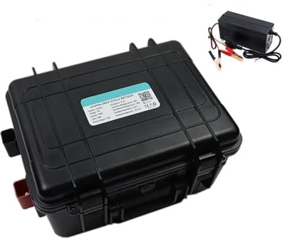 Batterie Lithium-Fer-Phosphate 12 V 30 Ah, 50 Ah, 100 Ah, 120 Ah, 150 Ah, Version Bluetooth, Compatible avec Une Alimentation Portable 12,8 V(100Ah -10A Charger)