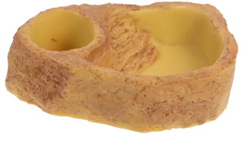 Beavorty Ciotola Anti-sversamento Arancia in Rettili e Resina Funzione per Conservazione Cibo per Alimentazione e Abbeveraggio di Lucertole