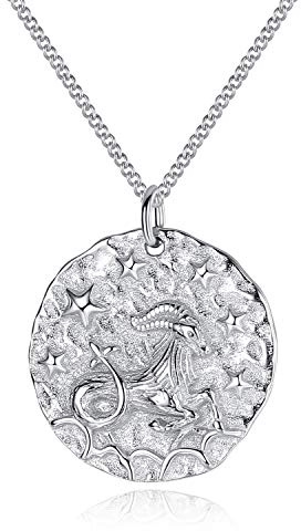 VIKI LYNN Collier Pendentif Argent de 12 Signes du Zodiaque Astrologique Idée Cadeau Bijoux Fantaisie Série Douze Constellations pour Homme Femme Garçon Fille (Capricorne: 22 décembre - 20 janvier)