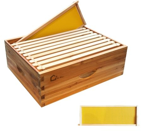 Bienenstock-Starterset, Ablegerkasten mit 10 Medium Waben, Massivholz Beute mit Holzrahmen und gewachstem Fundament, Bienenstockkasten Nachhaltig Imkereibedarf, Bienenhaus 100 % Bienenwachs getaucht-B