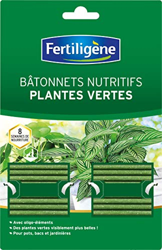 Fertiligène FBPV - Engrais Bâtonnets Nutritifs Plantes Vertes x 40 - pour des Plantes Plus Vertes - Formule avec Oligo-éléments - Jusqu'à 8 semaines de Nourriture - Plantes en Pots et jardinières