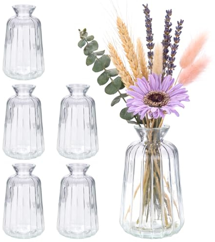 Otauoaea 6 Stück Mini Glasvasen Set, Kleine Vasen für Tischdeko Hochzeit, Glasfläschchen als Tischmittelstück für Blumen Deko & Home Decor