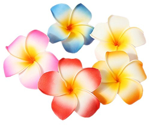 FSSTUD 10 STK 7 cm Bunt Frau Hawaii Blumen Haarklammer Haarspange Haarschmuck für Party Strand Braut