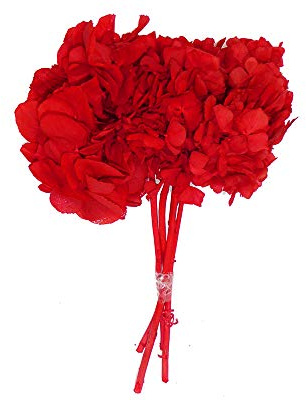 zelda bomobniere Mazzo Fiore Ortensia Stabilizzata con Steli Naturale Colorata Diametro 20 Cm (Rosso)