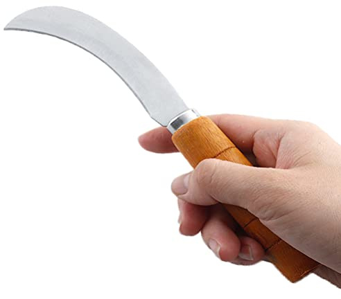 Abaodam Pineapple Knife Curved Fruit Cutter Stainless Steel Mini Sickle Knife for Kitchen Home Restaurant Use