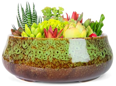 ARTKETTY Macetas suculentas de cerámica de 19 cm con Drenaje, macetas Grandes y Poco Profundas para Plantas de Interior, macetas Redondas esmaltadas para Plantas de Cactus, decoración de Escritorio