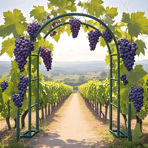 Garten Rosenbogen Rankhilfe Freistehend Metall Torbogen für Hochzeit & Garten Stabile Stütze für Kletterpflanzen Höhenverstellbar 120-250cm Grün (B2,40xH2,20m)