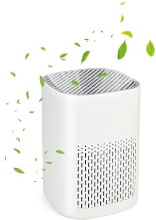 HEPA Air Purifier for bedroom - 3 Stage Small Air Purifier with H13 Filter for Smoke Dust Pet Dander Odors, USB Powered Quit Air Cleaner for Home Office & Baby Room
