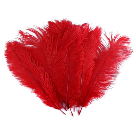 Asudaro 10pcs DIY Straußenfedern Federn Dekor 25-30cm Länge Flauschige Federn Bunte Natürliche Federn Naturfedern für DIY Handwerk Art Basteln Karneval Rosen Montag Halloween Fest Versch Rot