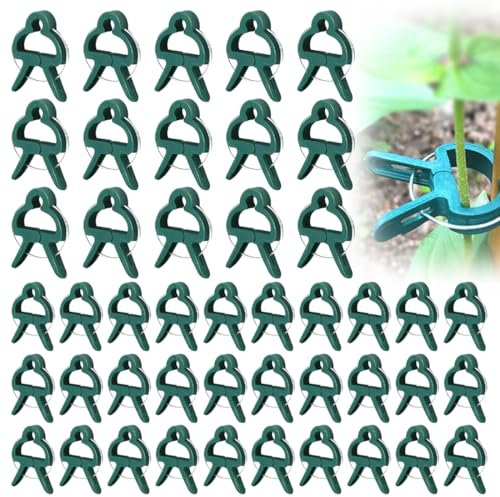 EYVRPAU 45 Pezzi Clip per Piante Riutilizzabili Supporto per Rampicanti Pomodori Fiori Rose Giardinaggio