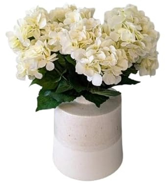 Bouquet de Flores de Hortensia Blancas con 10 Flores Largas y Resplandecientes