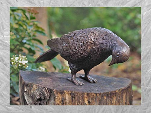 IDYL Bronze-Skulptur Taube mit gesenktem Kopf | 12x10x25 cm | Tierfigur aus Bronze handgefertigt | Gartenskulptur oder Teich-Dekoration | Hochwertiges Kunsthandwerk | Wetterfest