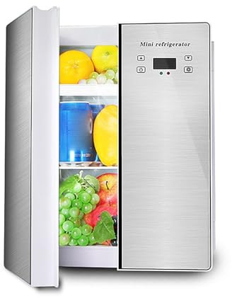 25L Mini Nevera Refrigerador Independiente Portátil Calentador Calentador De Alimentos Y Bebidas Enfriador De Bebidas Para La Oficina De La Sala De Viajes En Casa Nevera De Coche CA / CC ( Color : Sma