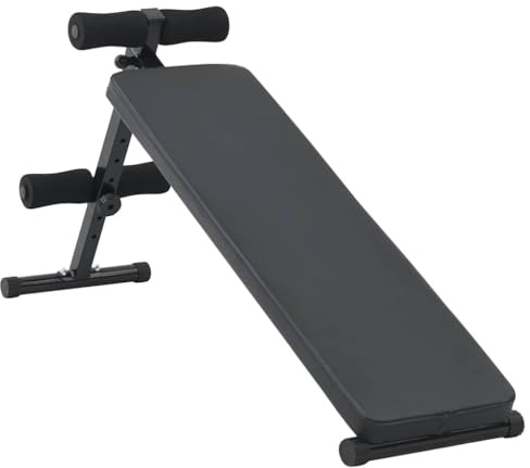 vidaXL Banca para Abdominales 150 kg Plegable Ajustable en Altura Acero Equipo de Ejercicio para Interior Gimnasio en Casa Entrenamiento Fitness Levantamiento de Piernas