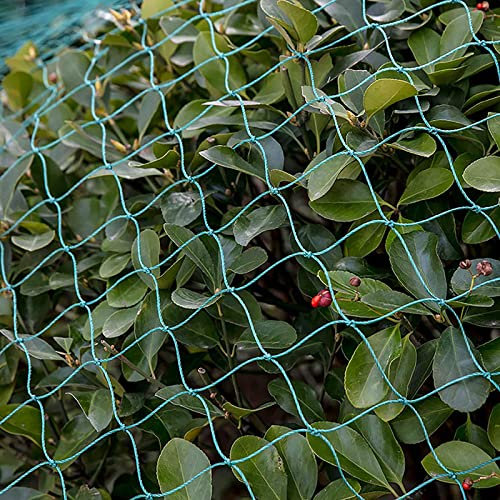Filet Protection Oiseaux pour Arbre Fruitier Filet Anti-Oiseaux Filet de Bassin pour Oiseaux,5x10m