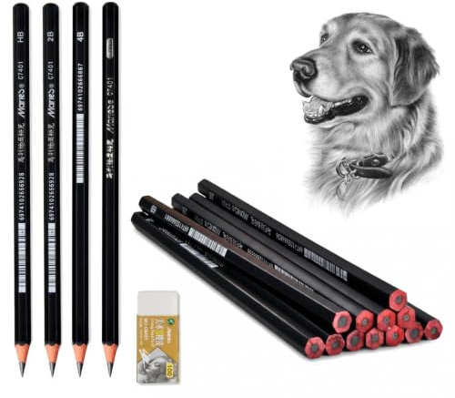 Bleistift Set 13-teilig – HB 2B 4B 6B Zeichenbleistifte mit Radiergummi C6451 | Skizzierbleistift Set für Anfänger & Künstler | Grafit Bleistift für Skizzieren, Zeichnen, Schattieren, Manga & Porträt